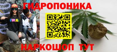 PSILOCYBIN Кулебаки
