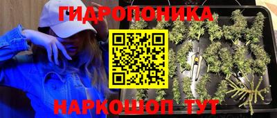 PSILOCYBIN Кулебаки
